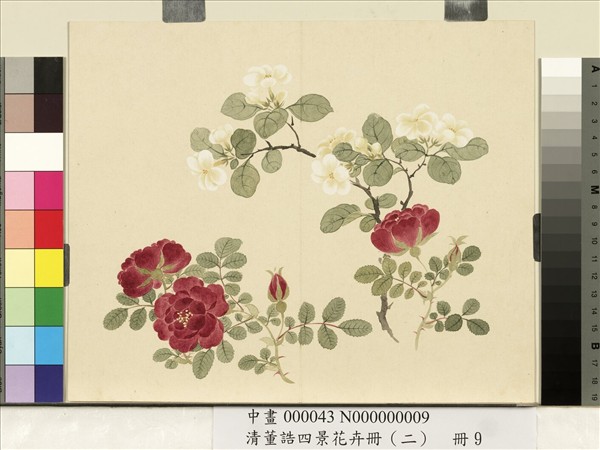 清董誥四景花卉冊（二）　冊　夏景花卉之九