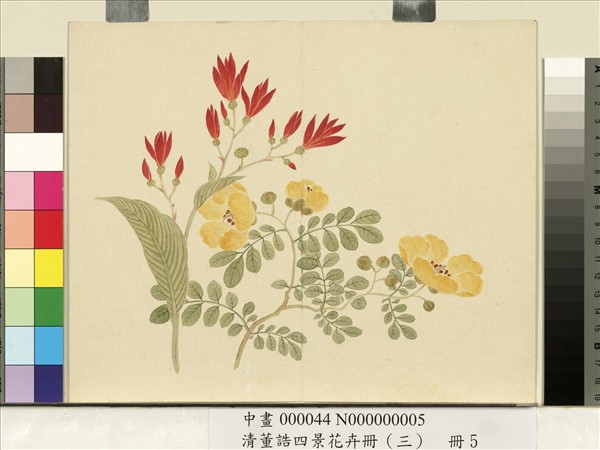 清董誥四景花卉（三）　冊　秋景花卉之五