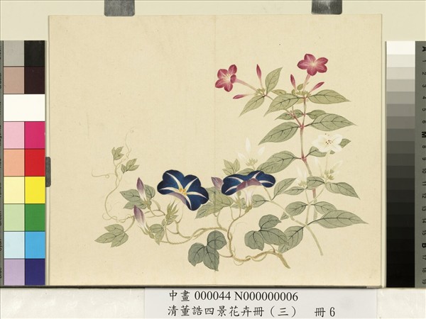 清董誥四景花卉（三）　冊　秋景花卉之六