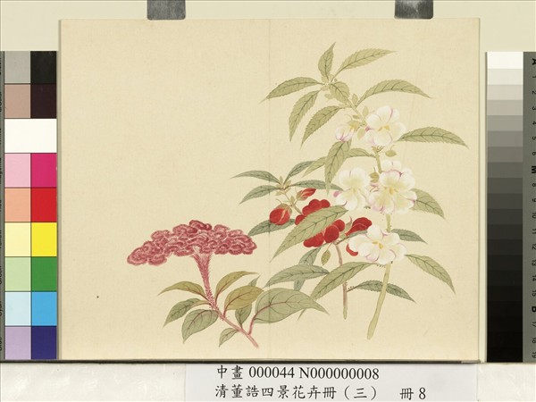 清董誥四景花卉（三）　冊　秋景花卉之八