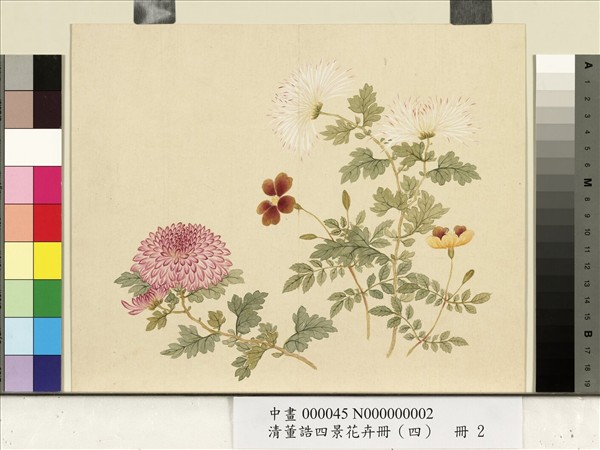 清董誥四景花卉（四）　冊　冬景花卉之二