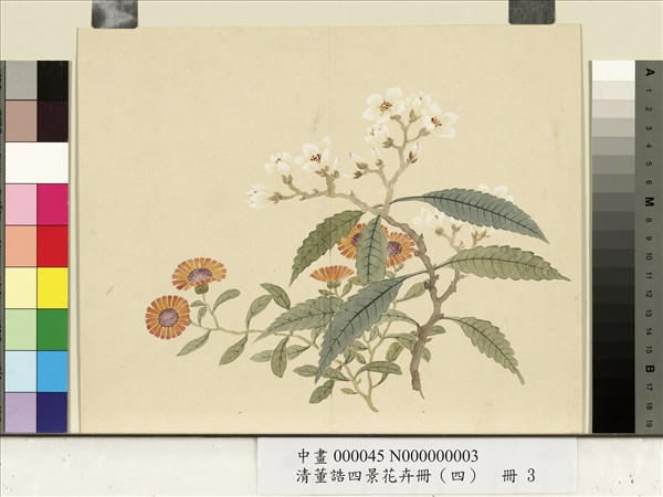 清董誥四景花卉（四）　冊　冬景花卉之三