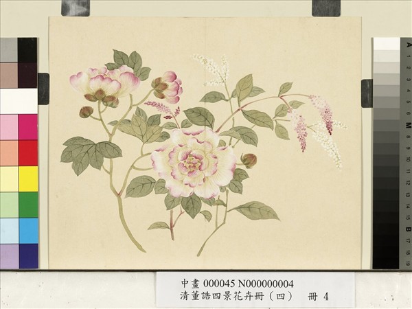 清董誥四景花卉（四）　冊　冬景花卉之四