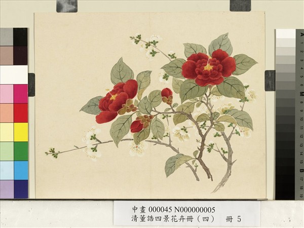 清董誥四景花卉（四）　冊　冬景花卉之五