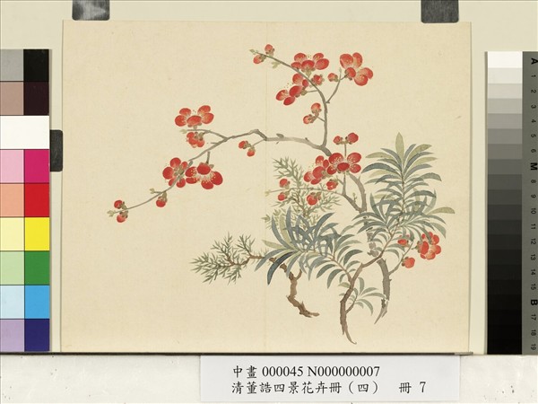 清董誥四景花卉（四）　冊　冬景花卉之七