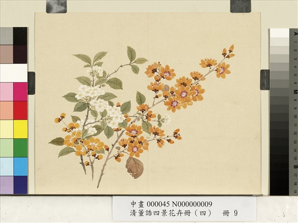 清董誥四景花卉（四）　冊　冬景花卉之九