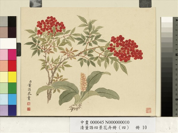 清董誥四景花卉（四）　冊　冬景花卉之十