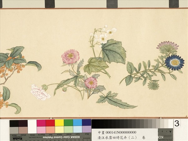 清汪承霈四時花卉（二）九如叶頌　卷