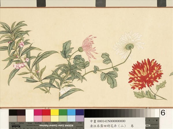 清汪承霈四時花卉（二）九如叶頌　卷