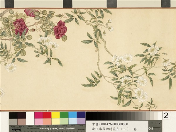 清汪承霈四時花卉（三）五雲濃馥　卷