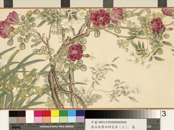 清汪承霈四時花卉（三）五雲濃馥　卷