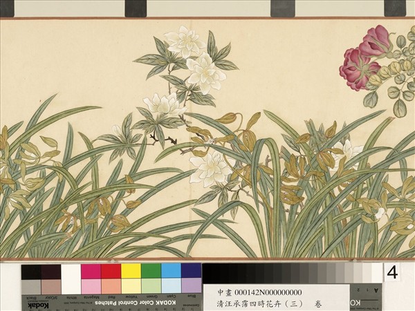 清汪承霈四時花卉（三）五雲濃馥　卷