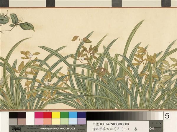 清汪承霈四時花卉（三）五雲濃馥　卷