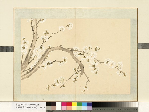 清錢維城花卉冊（一）　冊　畫梅之五
