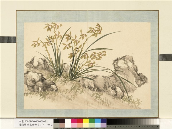 清錢維城花卉冊（二）　冊　畫蘭之二