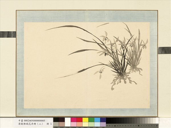 清錢維城花卉冊（二）　冊　畫蘭之五