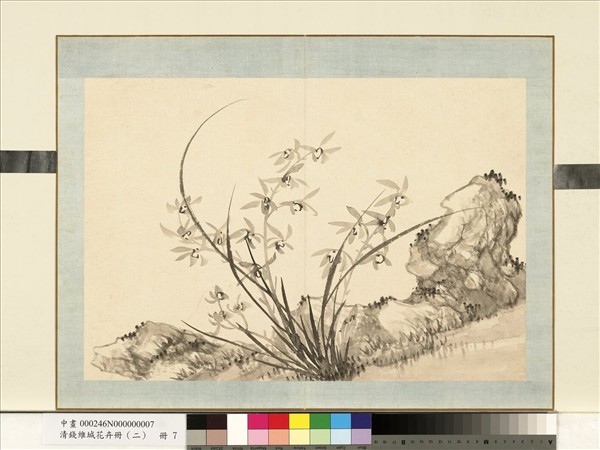 清錢維城花卉冊（二）　冊　畫蘭之七
