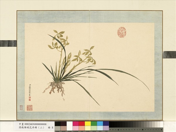 清錢維城花卉冊（二）　冊　畫蘭之八