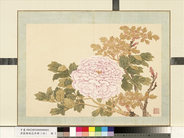 清錢維城花卉冊（四）　冊　畫牡丹之一