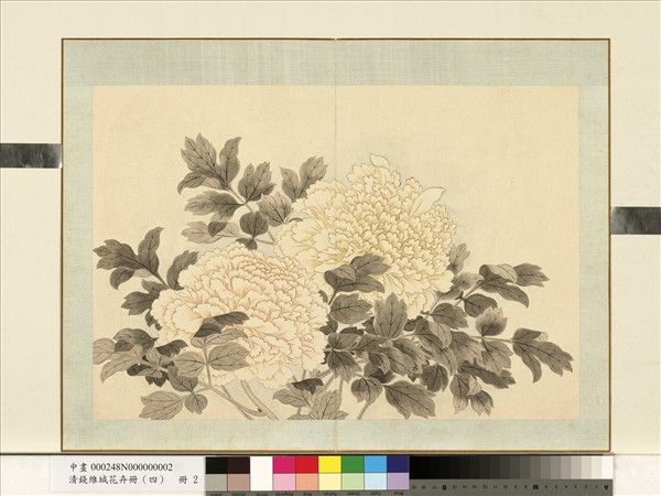 清錢維城花卉冊（四）　冊　畫牡丹之二