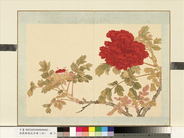 清錢維城花卉冊（四）　冊　畫牡丹之三