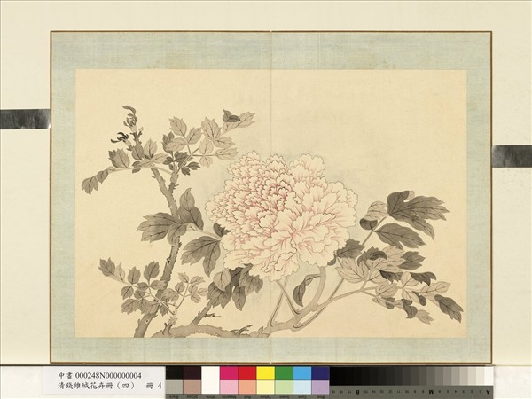 清錢維城花卉冊（四）　冊　畫牡丹之四