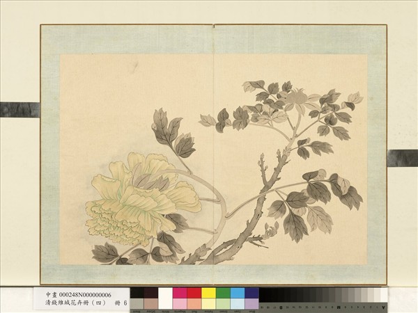 清錢維城花卉冊（四）　冊　畫牡丹之六
