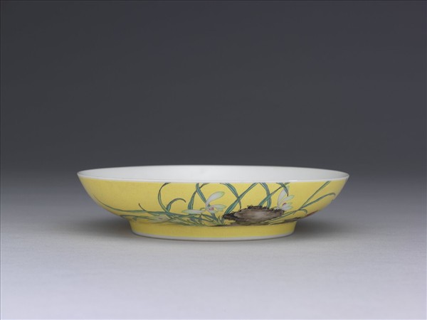 琺瑯彩黃地蘭花紋碟