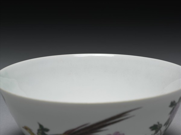 琺瑯彩瓷錦堂富貴圖碗