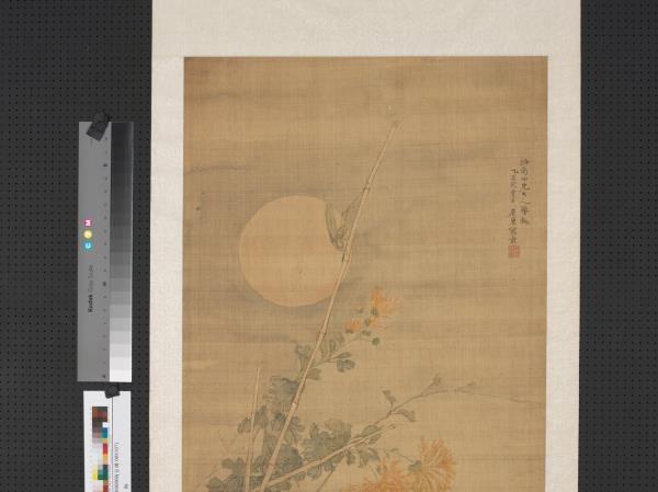 清居巢菊下雞雛　軸