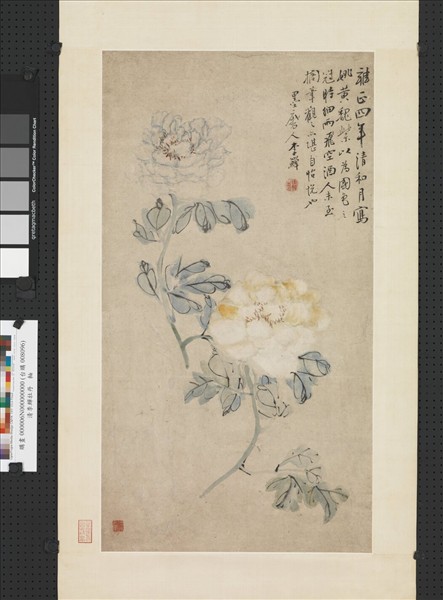 清李鱓牡丹　軸