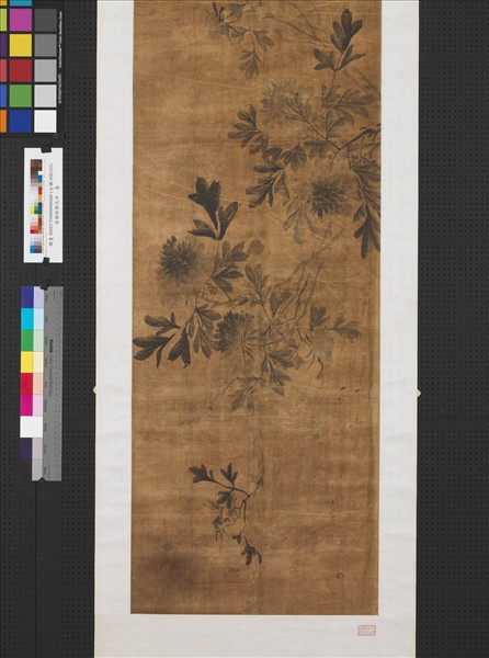 清謝琯樵花卉　卷