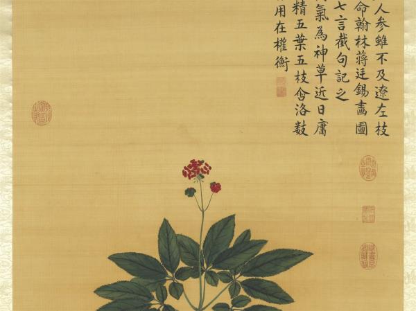 清蔣廷錫人參花　軸