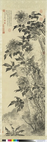 清金廷標畫墨牡丹　軸