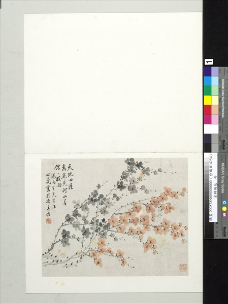 清金斕梅花　冊　臨馬扶羲小冊