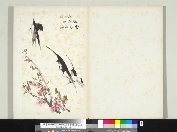 清朱偁花鳥冊　冊　紅杏燕子