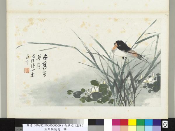 清朱偁花鳥冊　冊　蓮花燕子