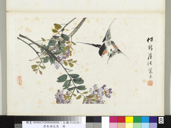 清朱偁花鳥冊　冊　紫薇燕子