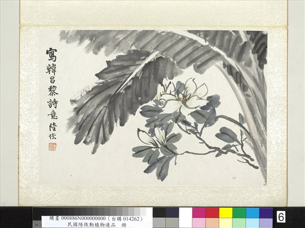 清陸恢動植物逸品冊　冊　芭蕉梔枝