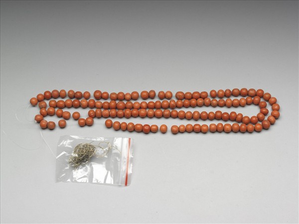 珊瑚數珠