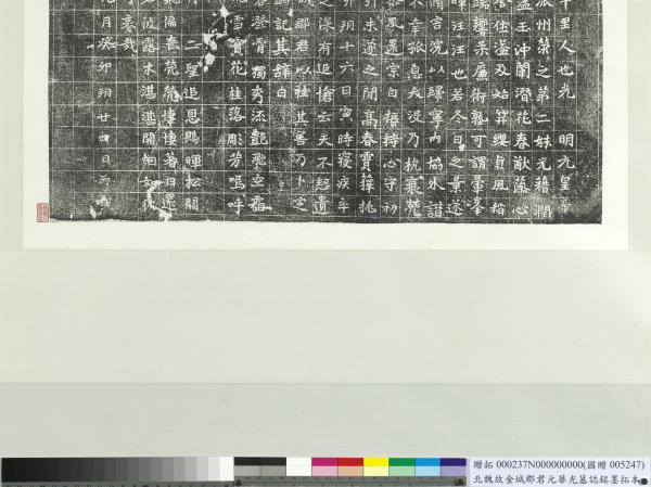 金枝身昔不嫌退踏破萬簪筍 掛軸 金枝身昔不嫌退踏破萬簪筍 掛軸 漢富樂未央子孫