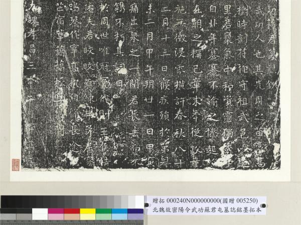 北魏故密陽令武功蘇君屯墓誌銘墨拓本　軸