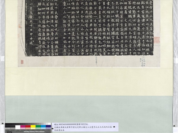 北魏故車騎大將軍平舒文定刑公繼夫人大覺寺比丘元尼純阤墓誌銘墨拓本　軸