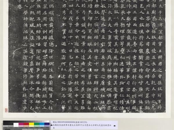 北魏故伏波將軍尚書北主客郎中大司農丞之命婦元氏墓誌銘墨拓本　軸