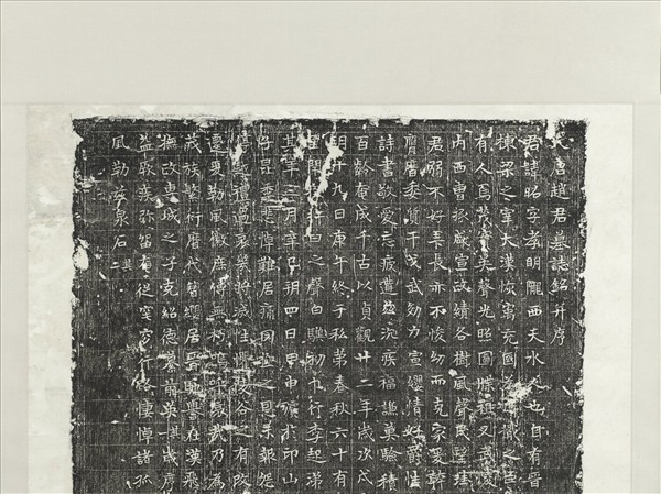 唐趙君昭墓誌銘墨拓本　軸