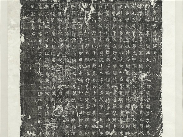 唐趙君昭墓誌銘墨拓本　軸