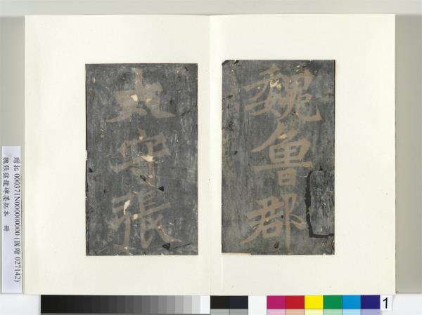 魏張猛龍碑墨拓本　冊