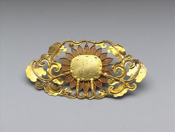 金纍絲菊花結子