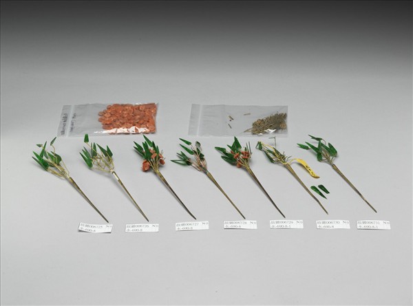 翠玉珊瑚竹梅簪