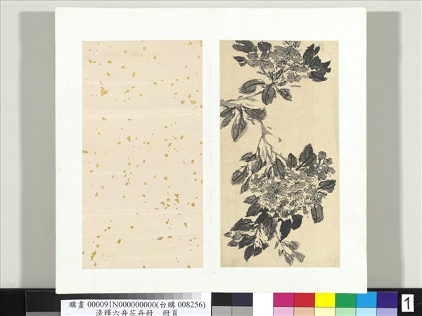 清釋達受花卉　冊　一